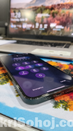 iPhone 13 pro Max
